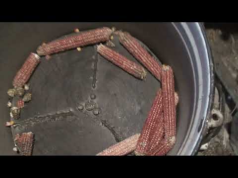 Видео: Самая бюджетная лущилка для кукурузы из хлама