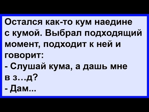 Видео: Про кума с кумой наедине... Сборник! Клуб анекдотов!