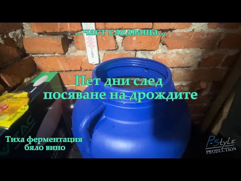 Видео: Тиха ферментация на бяло вино