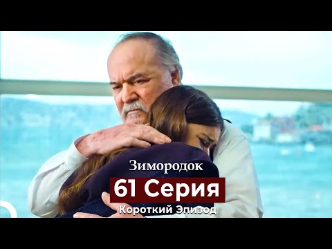 Видео: Зимородок 61 Cерия (Короткий Эпизод) (Русский дубляж)