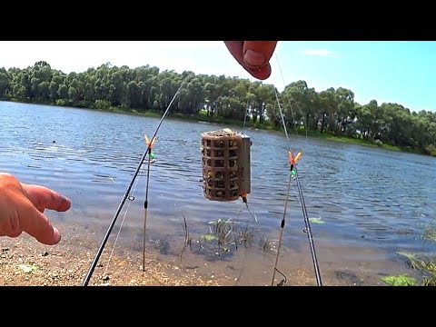 Видео: Пробую разную оснастку на леща! Рыбалка на донки! Ловля леща на Оке!