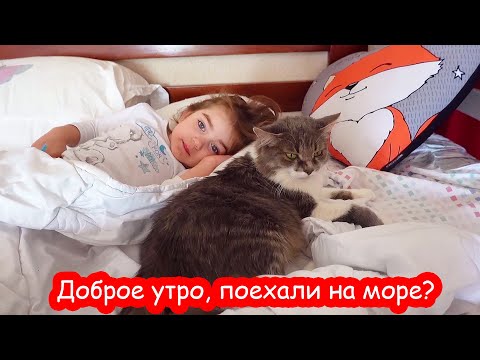 Видео: VLOG Наконец-то мы выехали на море. Кого взяли с собой