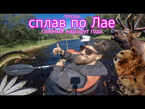 Видео: ПОХОДЫ: одиночный сплав по Северке и Лае на пакрафте. Рыбалка, избы, встреча с диким зверем