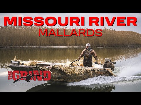 Видео: Кряквы реки Миссури! Убойная водоплавающая птица S14:E7
