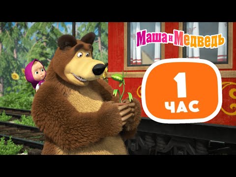 Видео: Маша и Медведь 😲🐻 Мишка в шоке 🐻😲 Сборник лучших серий про Машу 🎬 1 час ⏰