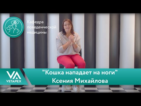 Видео: Кафедра Поведенческой медицины. Ксения Михайлова - "Кошка нападает на ноги"