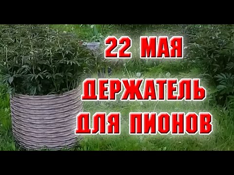Видео: 22 мая.  Держатель для пионов из ротанга