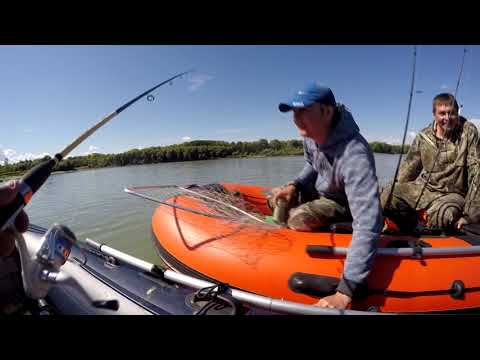 Видео: Рыбалка на спиннинг. Сузун конец Августа. Полный день