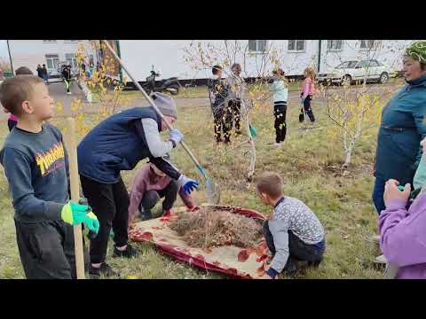 Видео: Субботник