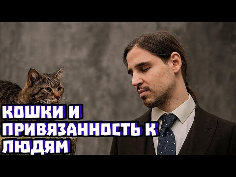 Видео: Кошки и привязанность к людям | Владимир Алипов