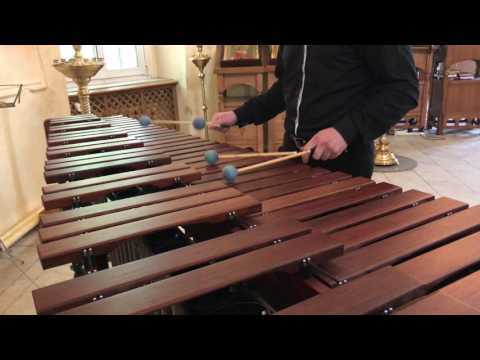 Видео: Н.Живкович - Илиаш (исп. Владимир Терехов)