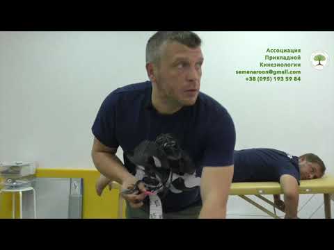 Видео: Тейпирование икроножной мышцы. Дмитрий Кущик. Прикладная кинезиология.