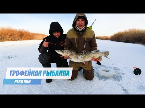 Видео: Трофейная Рыбалка на реке Кон. Зимняя Рыбалка в Карагандинской Области