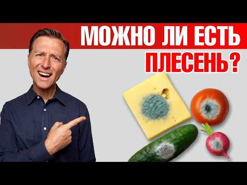 Видео: Плесень и грибок в организме: чем они реально опасны🧐