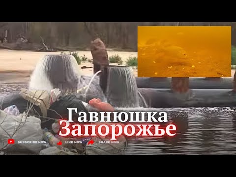 Видео: ГАВНЮШКА на Домаха. Кучи мусора и другие чудеса природы. 12 сент 24г.