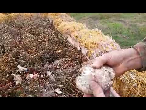 Видео: СЕКРЕТНЫЙ КОМПОСТ И ТРИХОДЕРМА.🍁🍂🍁