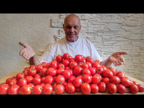 Видео: КВАСИМО помідори🍅Ну і коментарі! Даємо відповідь