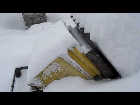 Видео: Пчелы. 15 декабря 2023 года. Ужасы ужасные на ужасной пасеке...