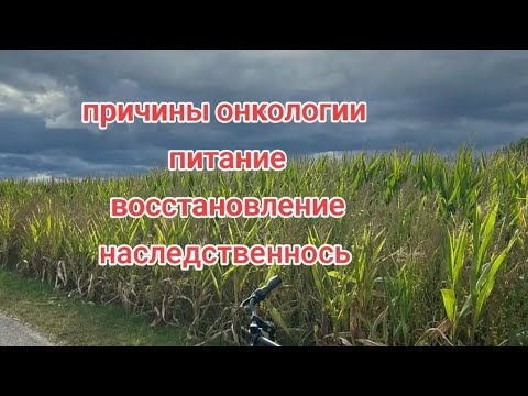 Видео: Онкология: причины, питание, очищение и поддержка бадами