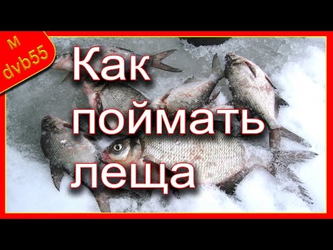 Видео: Как поймать леща зимой в стоячей воде?
