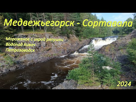 Видео: 12. Дорога Медвежьегорск - Сортавала. Пробуем мороженое с икрой ряпушки. Водопад Кивач