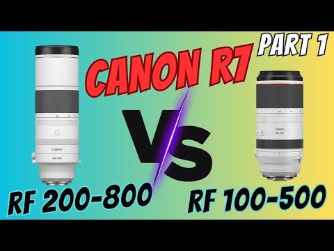 Видео: CANON RF 200-800 против RF 100-500 + 1.4 TC на Canon R7 ||| КТО ПОБЕДИТ? Часть 1 из 2