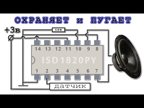 Видео: 🔦 ГОВОРЯЩАЯ СИГНАЛИЗАЦИЯ Ну ОООЧЕНЬ ПРОСТО