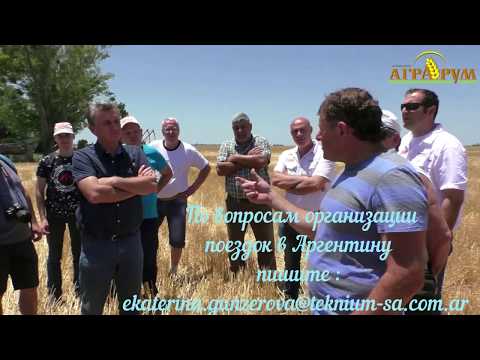 Видео: Посев кукурузы по технологии NO Till