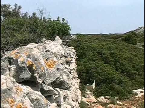 Видео: Хорватия. Золотой глобус - 23