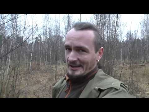 Видео: Вырубка леса   благое дело!