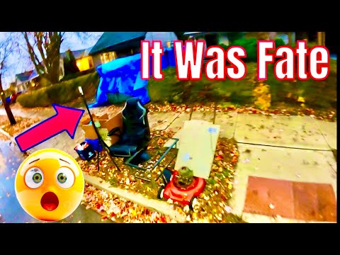 Видео: Просто хватай! Уличный лом — быстрый заработок