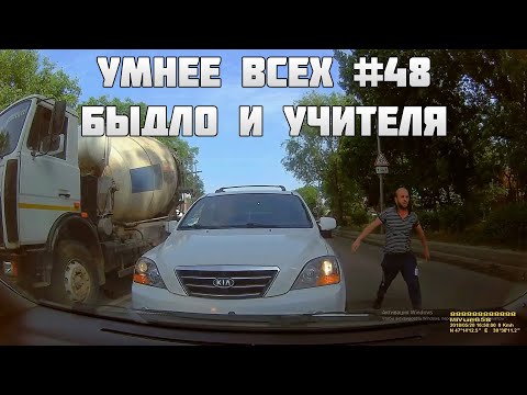 Видео: УМНЕЕ ВСЕХ #48. БЫДЛО И УЧИТЕЛЯ НА ДОРОГЕ