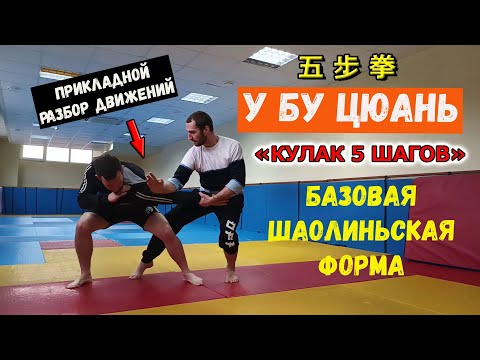 Видео: "ШАОЛИНЬСКИЙ КУЛАК 5 ШАГОВ". Применение за 5 минут.