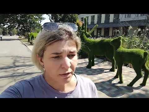 Видео: Уехали в Сибирь. А на Юге... 😱. Ну и ладно, начинаем заново 😊