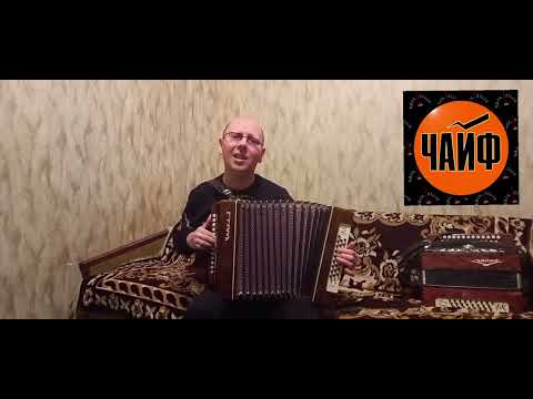 Видео: "Не спеши".(Кавер-версия).Гармонь.("Чайф").