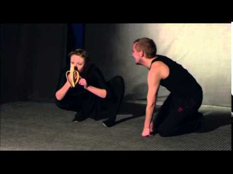 Видео: обезьяны