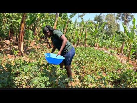 Видео: Я вернулась, чтобы порадоваться Божьим благословениям🙏 Распаковываю дорожный рюкзак #деревенскаяж...
