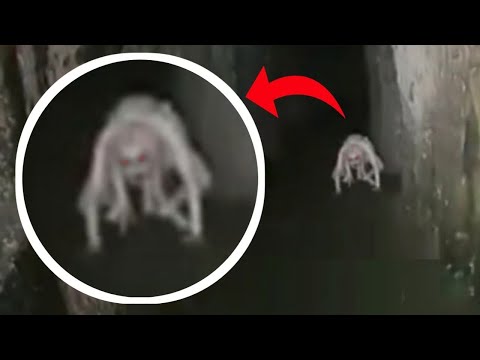 Видео: Что ЭТО? Страшные Видео и Страшилки