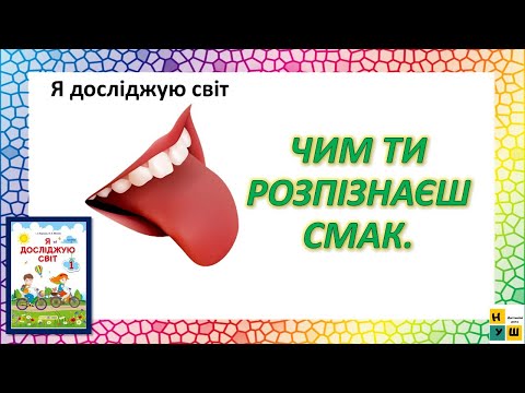 Видео: ЯДС 1 клас урок 72 ЧИМ ТИ РОЗПІЗНАЄШ СМАК. Жаркова