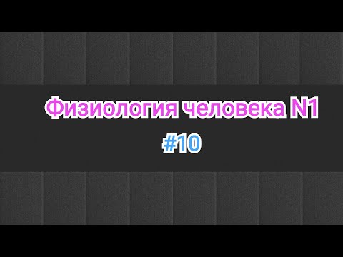 Видео: Физиология. Тема 10. Физиология мышцы.