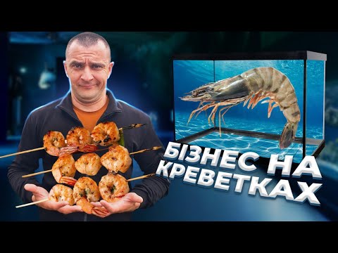 Видео: ЯК ВИРОЩУЮТЬ ГІГАНТСЬКИХ КРЕВЕТОК? БІЗНЕС НА КРЕВЕТКАХ