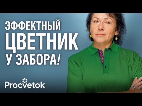 Видео: ЧТО ПОСАДИТЬ ВДОЛЬ ЗАБОРА? ТОП-10 эффектных растений, которые мигом преобразят любой забор