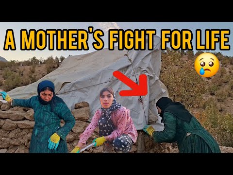 Видео: Рука помощи: Молодой человек помогает матери-кочевнице в горах.