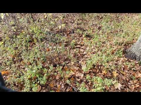 Видео: ЗАПАКОВАЛИ!  ВО ВРЕМЯ СТРИМА!!!