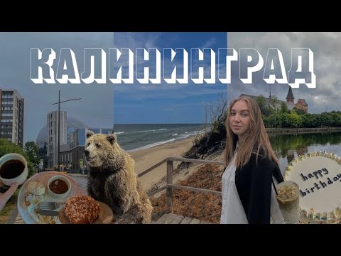 Видео: 5 дней в Калининграде одна 👀 день рождения, зоопарк, Куршская коса, кофейни и музей