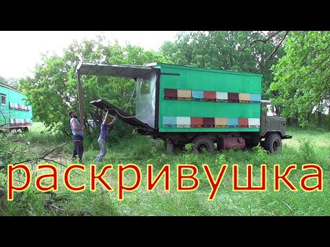 Видео: Раскривушка на газ 66 / пчелопавильон / пчеловодство.