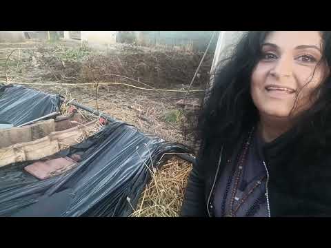 Видео: Лехите - Деси Владовска