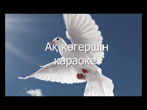 Видео: Ақ көгершін