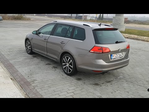 Видео: Купили VW Golf 7 Highline на продажу, Куча Битков на Таможне, Tesla Model S