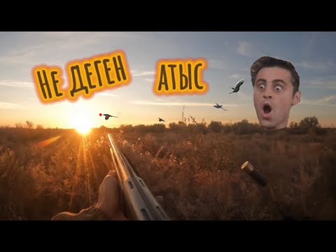 Видео: Ұшпайтын қырғауылдарды ұшырып аттым. Қырғауылға аңшылық. Охота на фазана 2023г @azamatgs